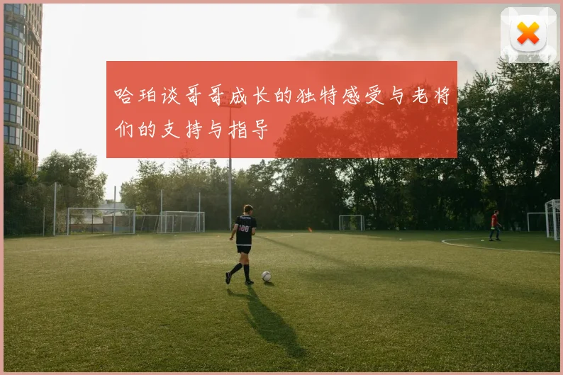 哈珀谈哥哥成长的独特感受与老将们的支持与指导
